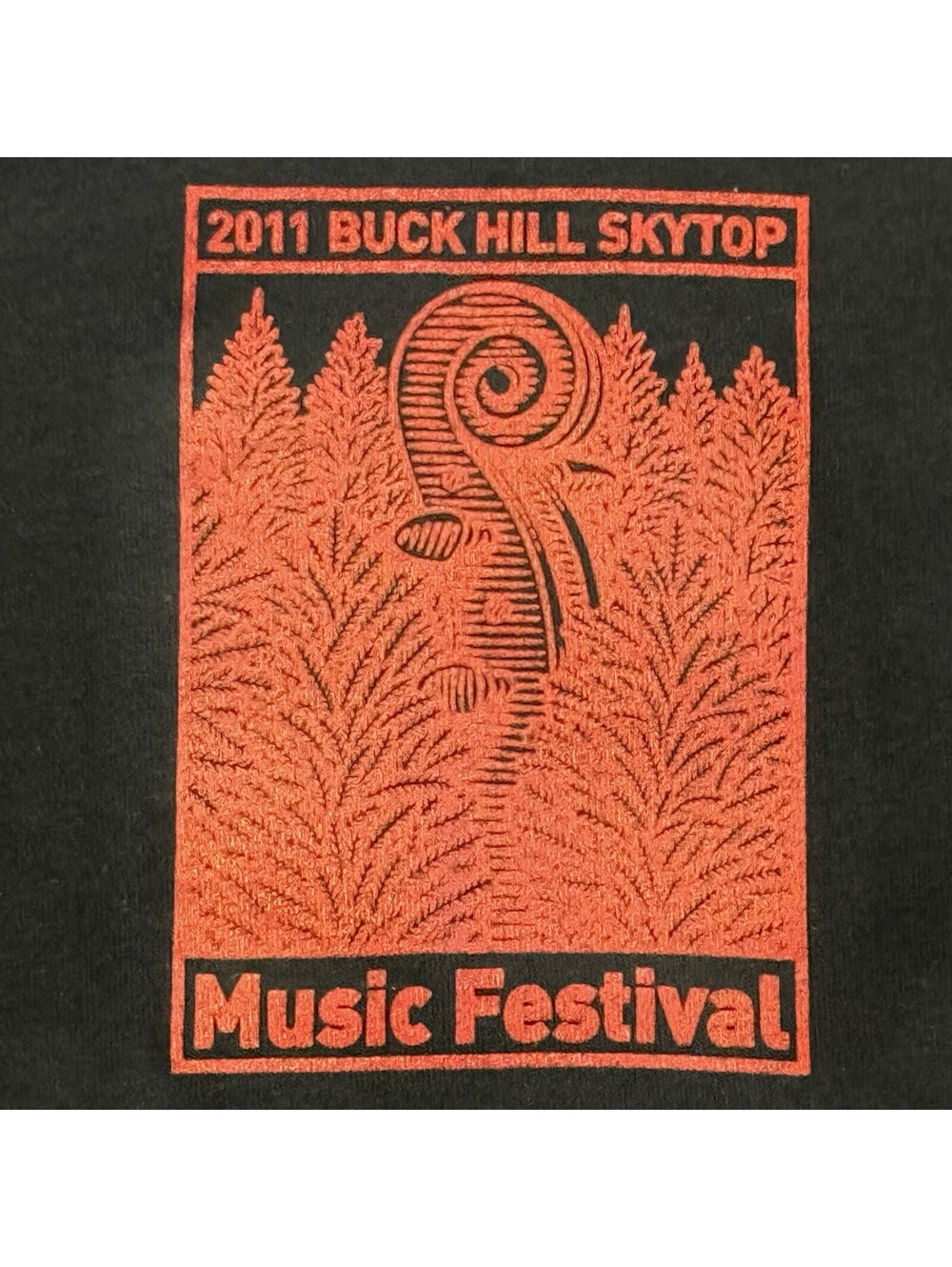 2011 Buck Hill Skytop Music Festival V-Neck T-Shirt Black Red Graphic Women XL